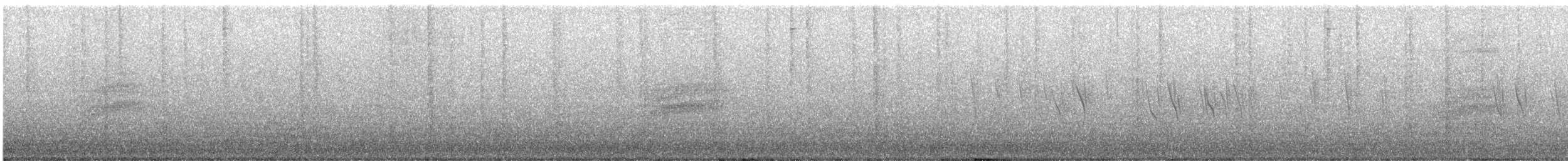 Тауї плямистий - ML585412101