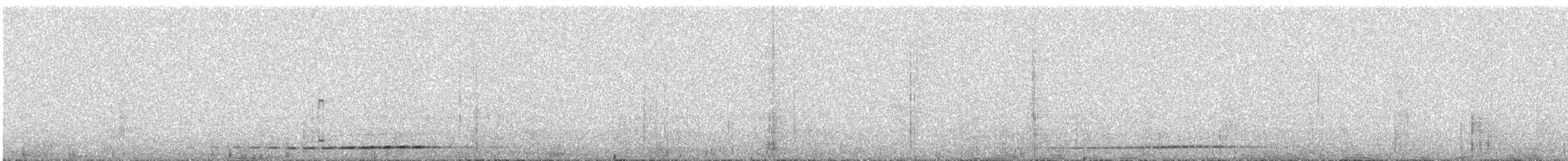Grallaire à nuque grise - ML585443871