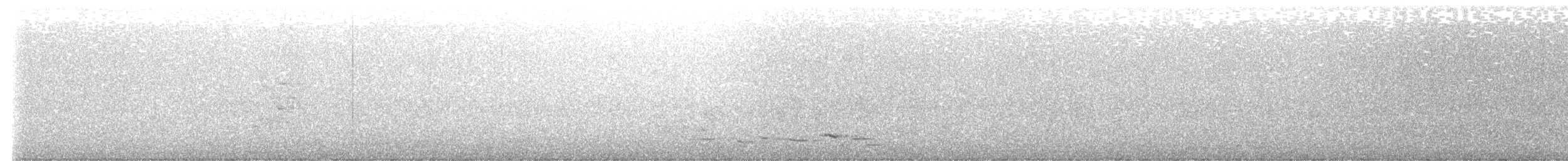 Дорнын шаргач - ML585489881