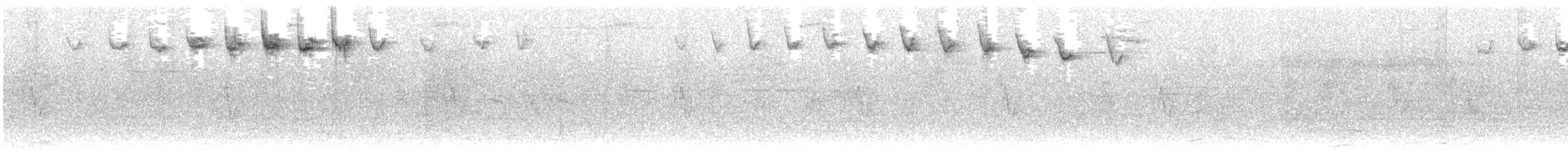 Streifenwaldsänger - ML58553471