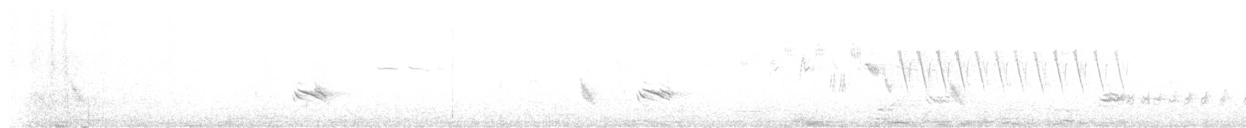 Пестрогорлая юхина - ML585540131
