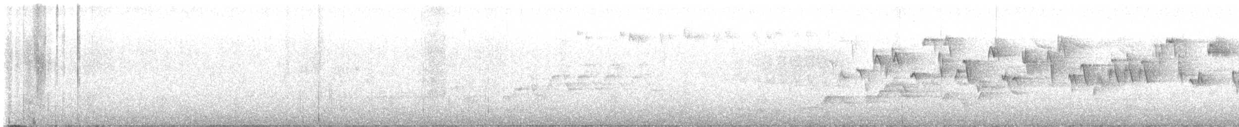 Pacific Wren - ML585554311