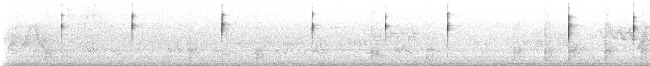 Paruline masquée - ML585556901