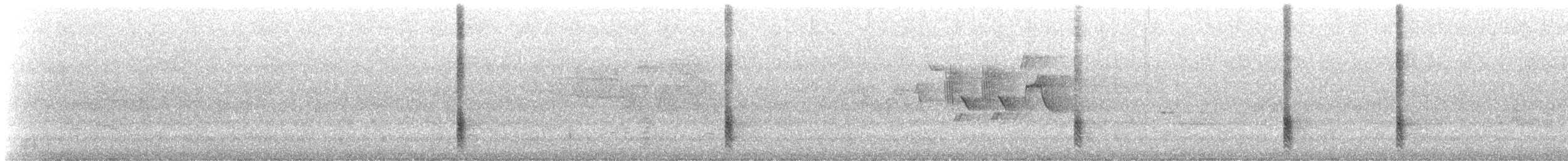 Quiscale bronzé (versicolor) - ML585557141