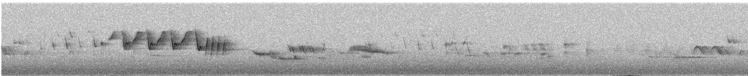 キヅタアメリカムシクイ（coronata） - ML585562721