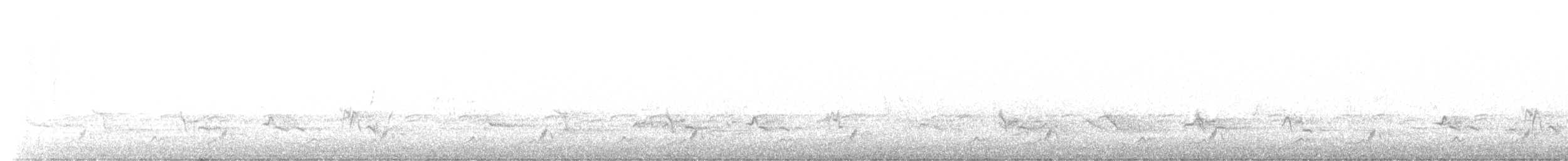 Schwarzkehl-Nachtschwalbe - ML585570661