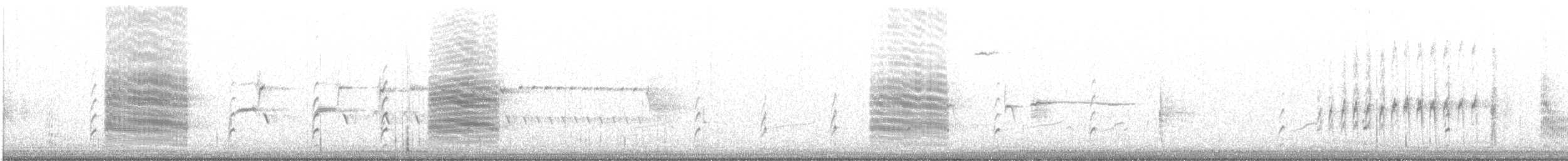 Forster's Tern - ML585585041