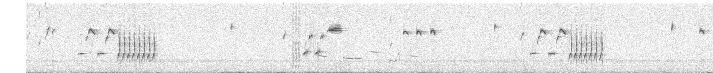 Schwarzkehlammer - ML585602591