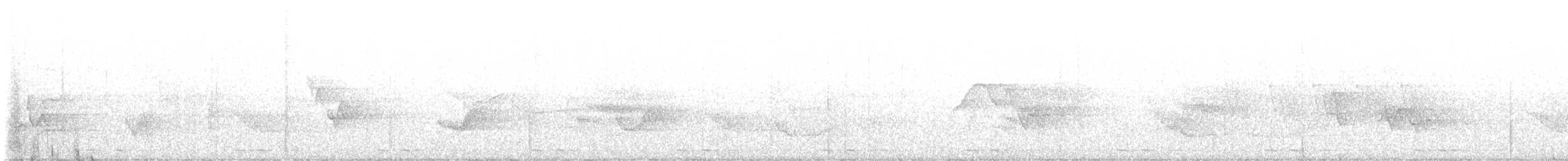 Black-billed Cuckoo - ML585614241