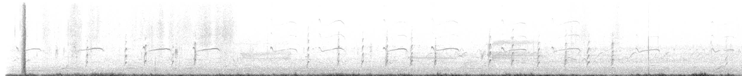 Schwarznacken-Stelzenläufer - ML585650111