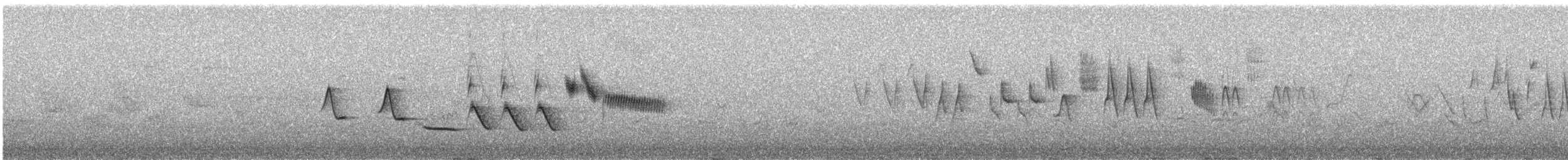 Пестрогрудая овсянка [группа schistacea] - ML585656241