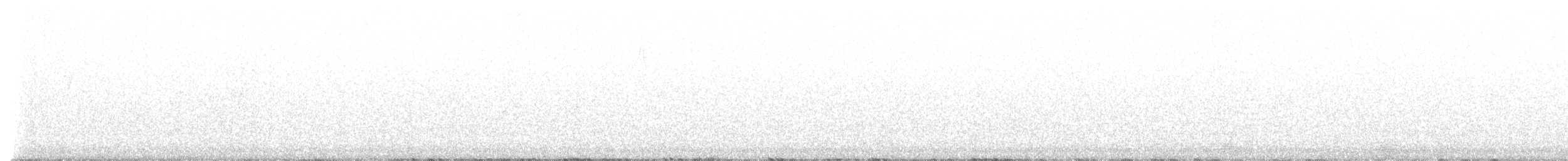 フユミソサザイ - ML585678961