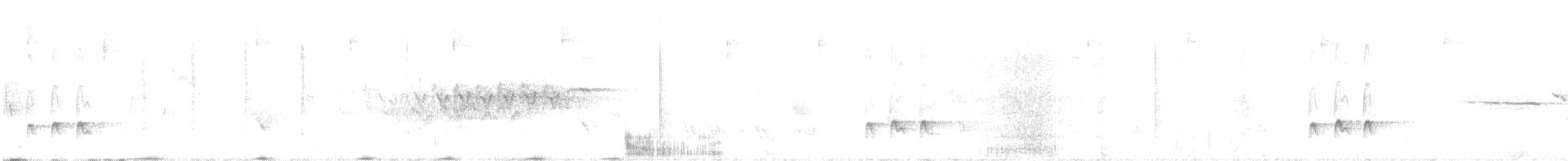 Olivflanken-Schnäppertyrann - ML585690361