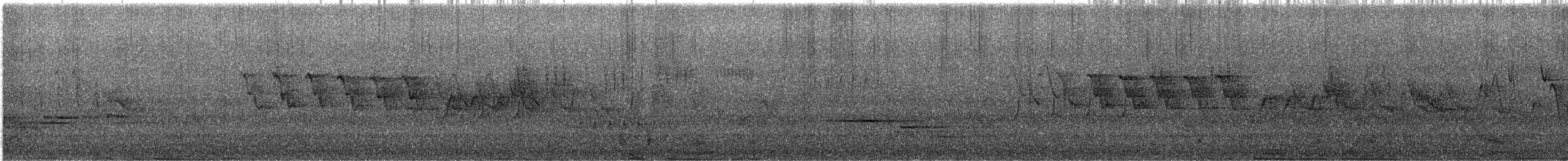 Дрізд-короткодзьоб плямистоволий - ML585704191