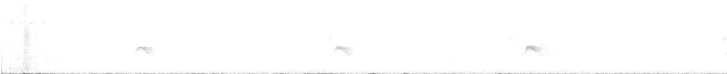 Пестрогорлый соловьиный дрозд - ML585719141