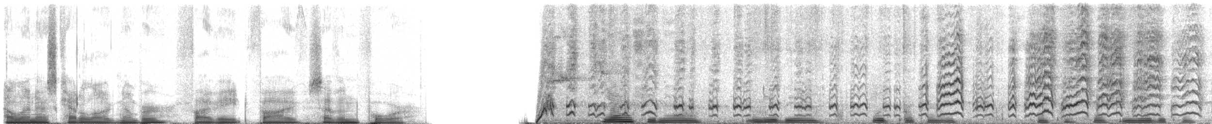 Nubierspecht - ML58574