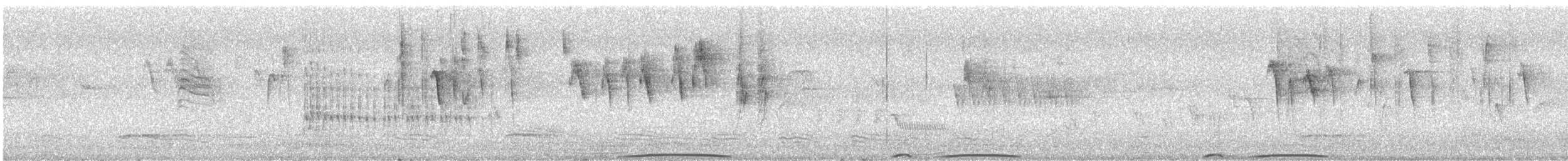 holub pruhoocasý [skupina fasciata] - ML585746301