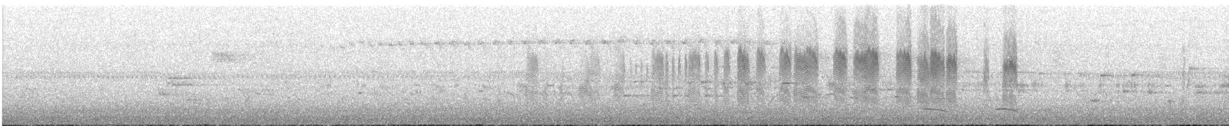 White-fronted Swift - ML585783121