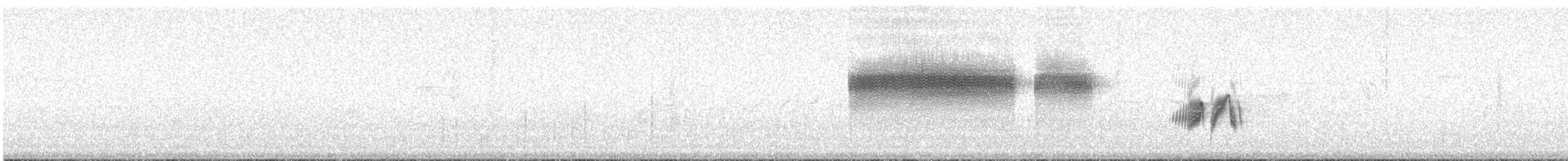 Карнатка бліда - ML585801721
