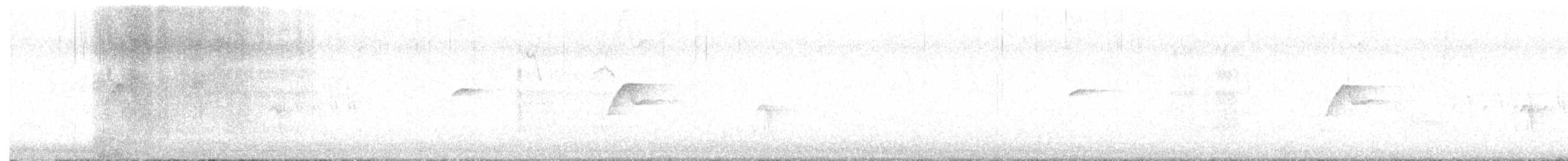 Batı Amerika Sinekkapanı (occidentalis/hellmayri) - ML585858011