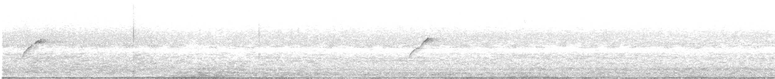 Western Flycatcher (Cordilleran) - ML585902371