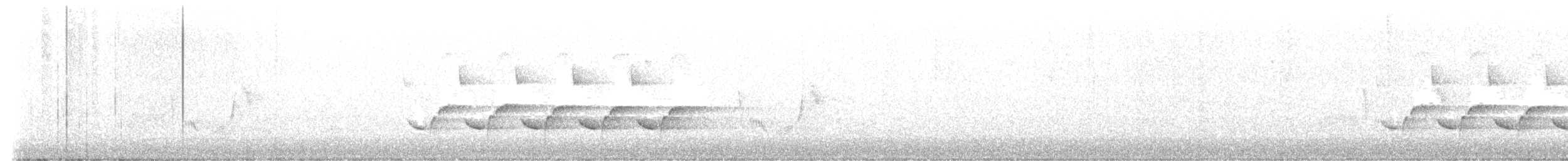 Каролинский крапивник - ML585918881