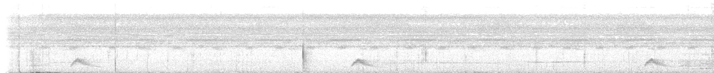 Pauraquenachtschwalbe - ML585925841