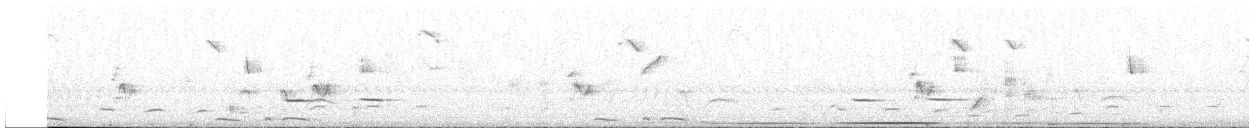 Striped Cuckoo - ML585932351