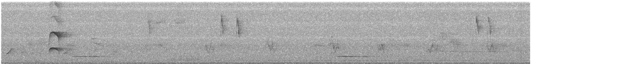 Thicket Tinamou - ML586004001