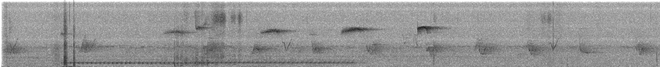 Lineated Woodpecker - ML586017471