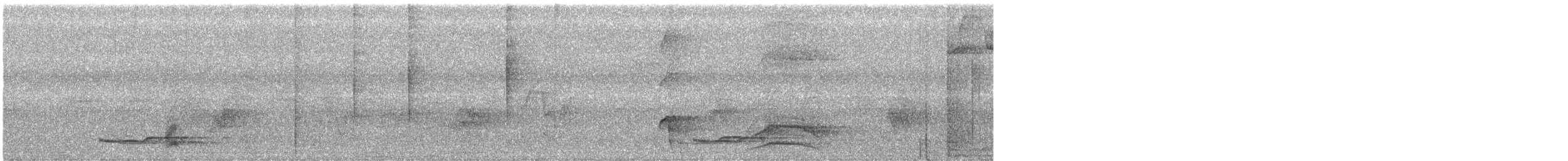 Long-tailed Manakin - ML586017691