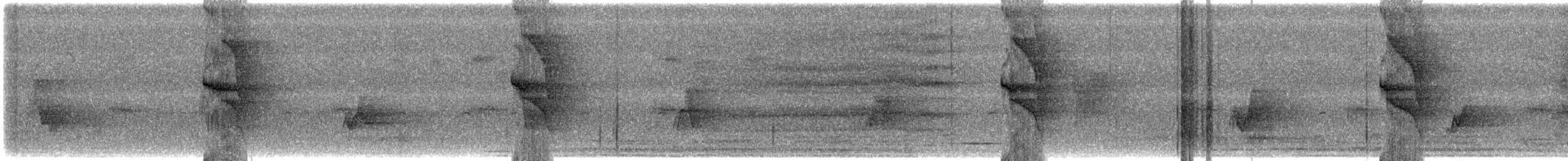 Social Flycatcher - ML586017811