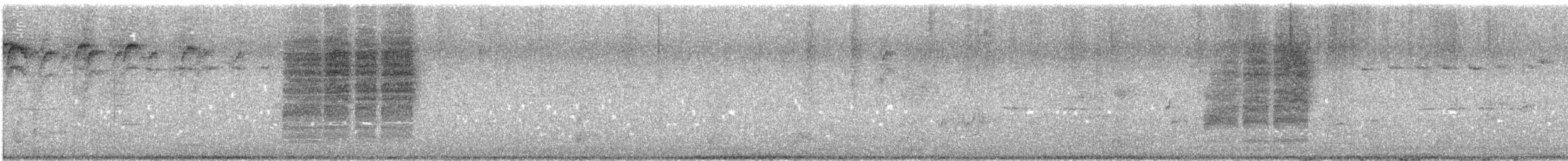 Troglodyte de Bewick (groupe spilurus) - ML586044631