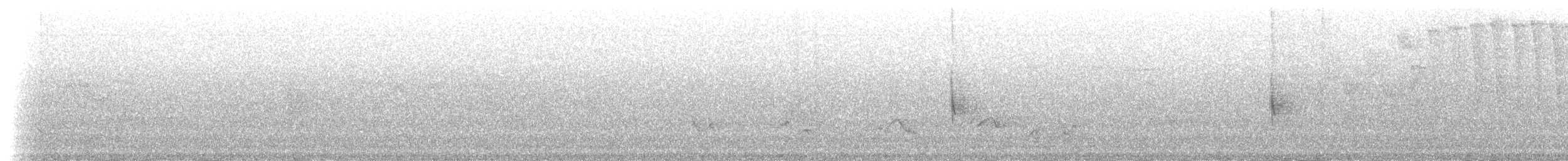 Чернокрылая пиранга - ML58605521