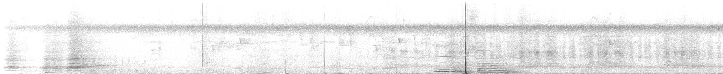 Striped Cuckoo - ML586061391
