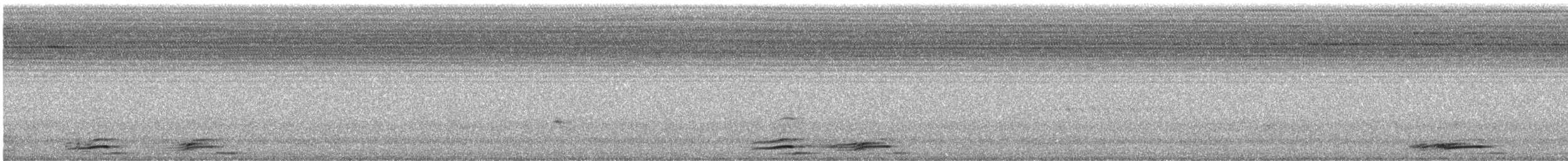 Gray Crowned-Crane - ML586063581