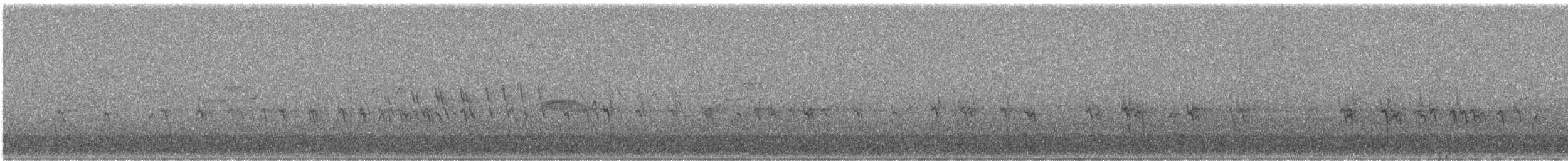 Western Wood-Pewee - ML586063711