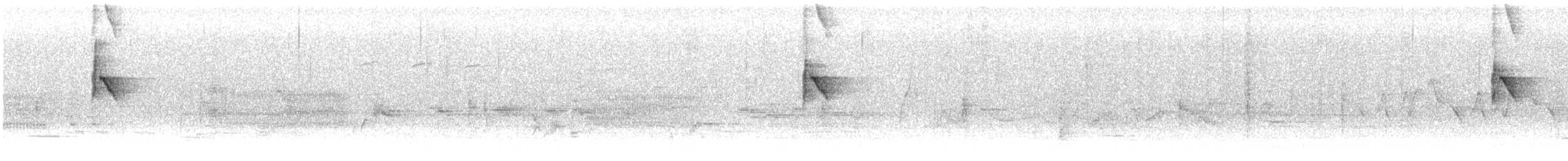 Tyran tritri - ML586068221