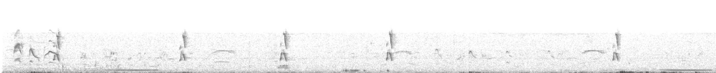 Tyranneau omnicolore - ML586081571