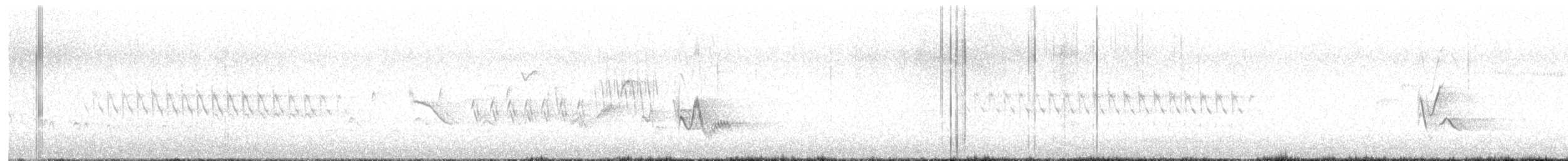 Cassin's/Plumbeous Vireo - ML586109231