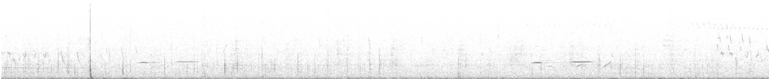 Striped Cuckoo - ML586126031