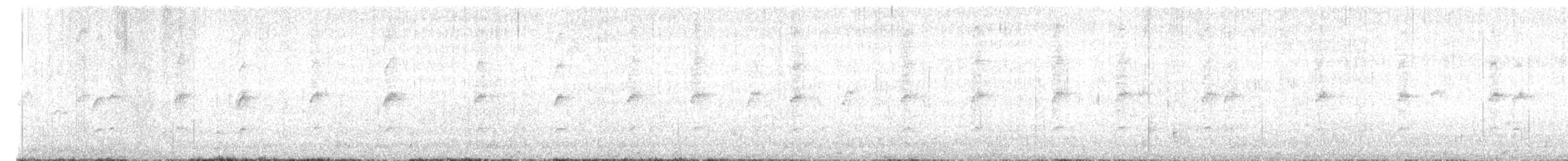 Mirlo Acuático Norteamericano - ML586128811