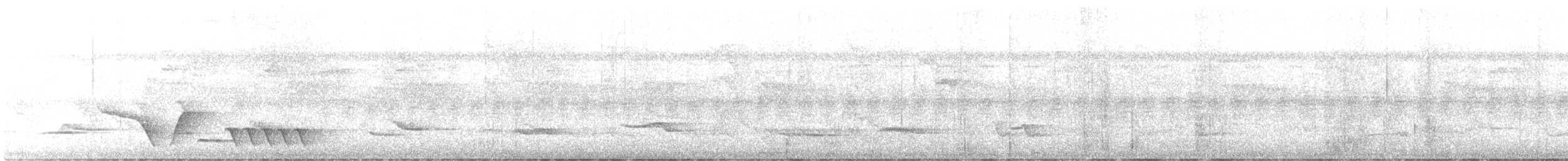 Kara Gerdanlı Çıtkuşu - ML586158961