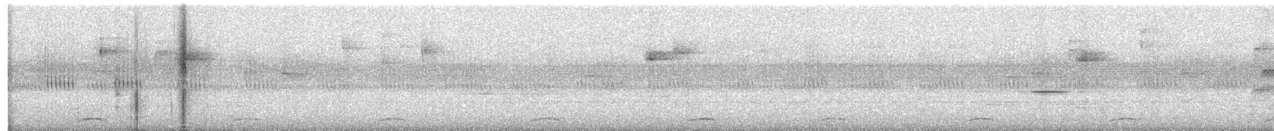 セアカウズラバト - ML586161251