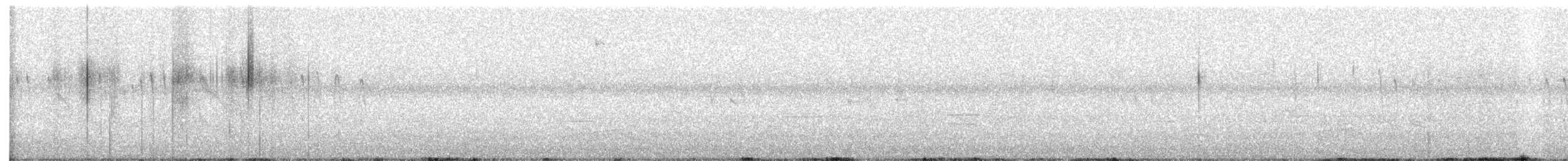 Свіфт плямистолобий - ML586161301