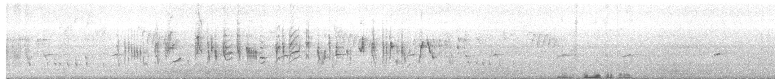 Txinbo papargorrizta iberiarra - ML586193891