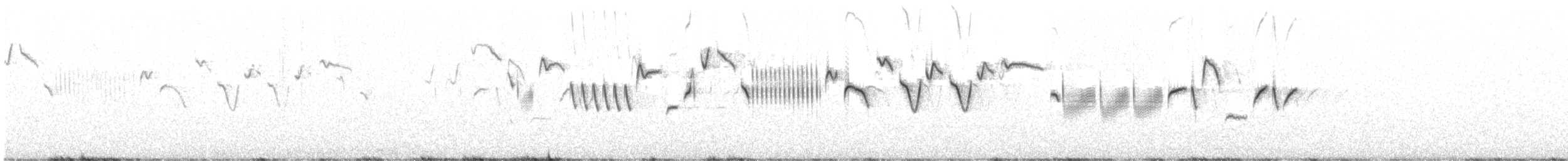 Eurasian Wren (British) - ML586208581