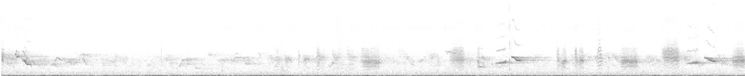 Northern Marquesan Reed Warbler - ML586210581
