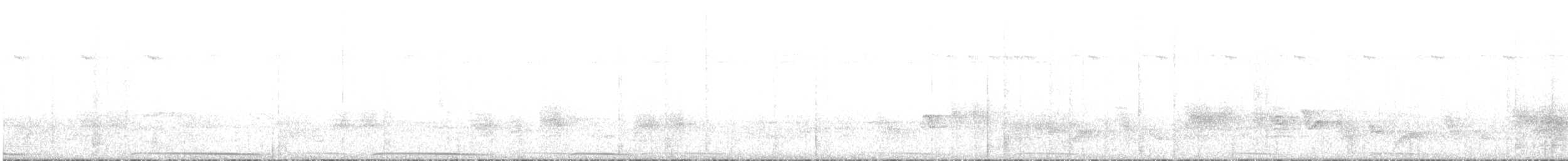 holub běločapkový - ML586213021