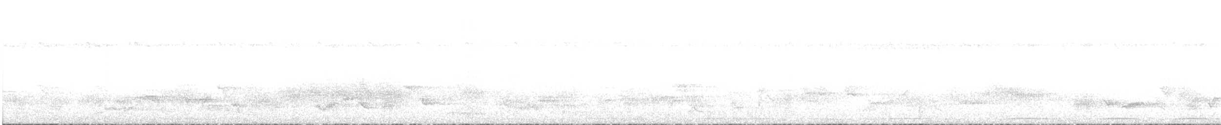 holub běločapkový - ML586213031